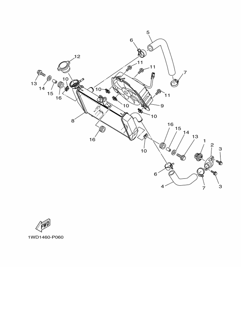 YAMAHA YZF-R3 (2019-2021) - RADIATOR & HOSE | Tenkateracingproducts.com