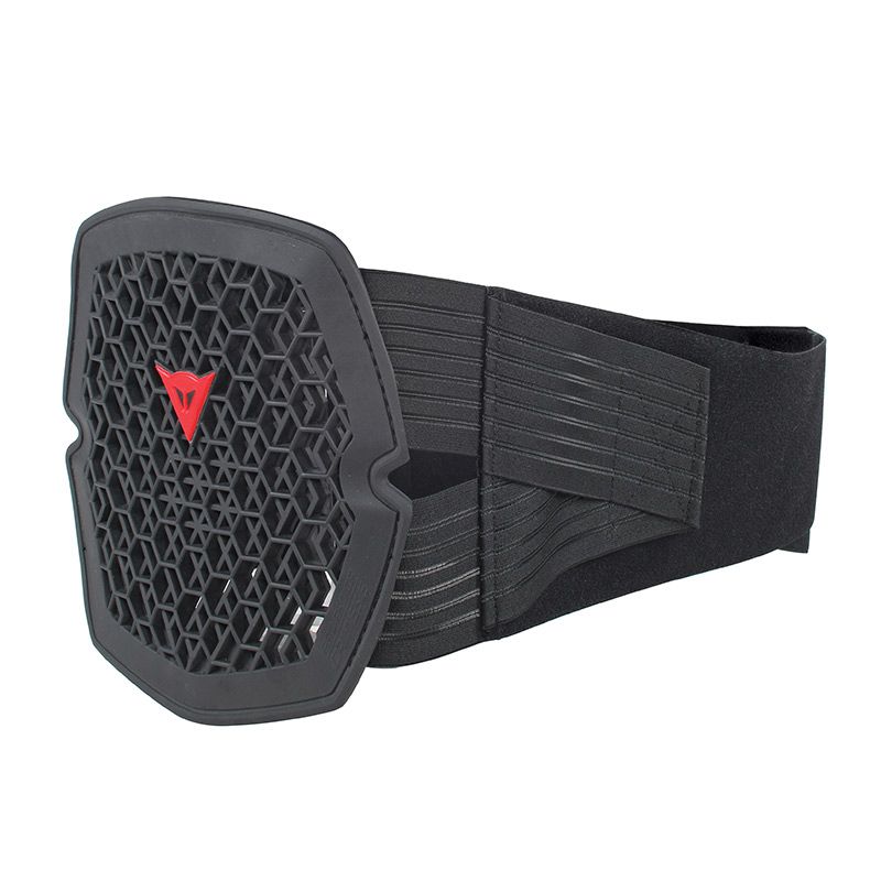 Slot gastvrouw geest Dainese motorcycle gear | Pro-Armor Lumbar protection (long) |  Tenkateshop.com